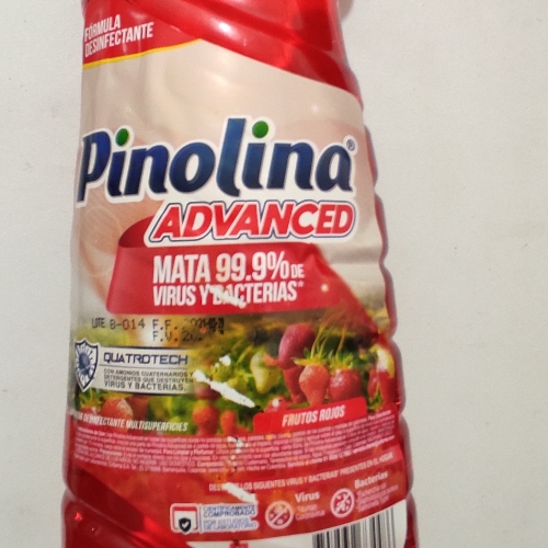 PINOLINA FRUTOS ROJOS X 960