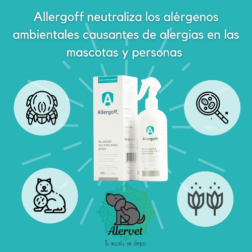 Allergoff