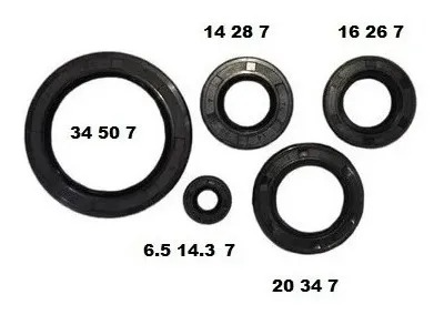 ESTOPERA KIT CG150 Horse Owen Jaguar Tx Rkv Speed Arsen Bera PAQUETICO