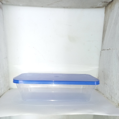 RECIPIENTE RECTANGULAR #5 ECONO