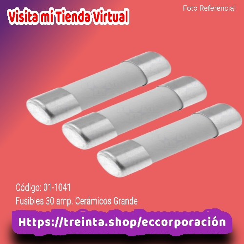 FUSIBLES 30 AMP. CERAMICO GRANDE