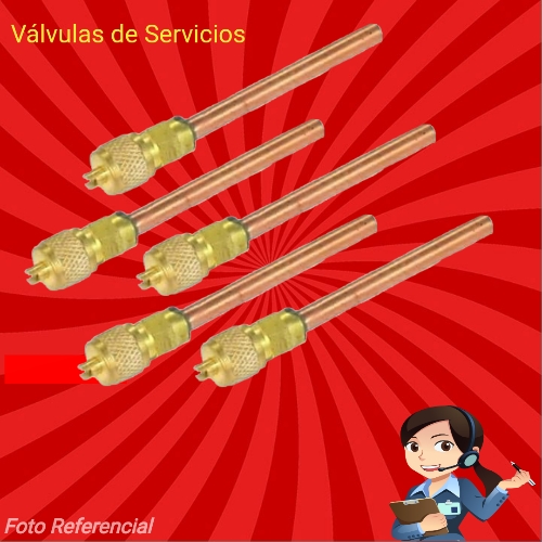 VALVULA SERVICIO (CARGA)