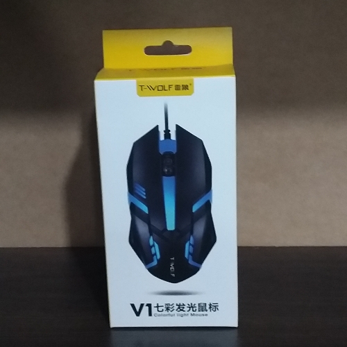 Mouse V1