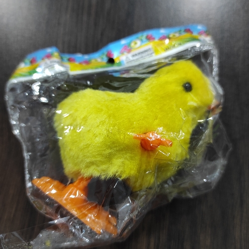 Pollito