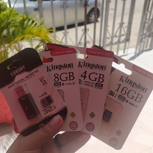 Memorias SD 4 GB