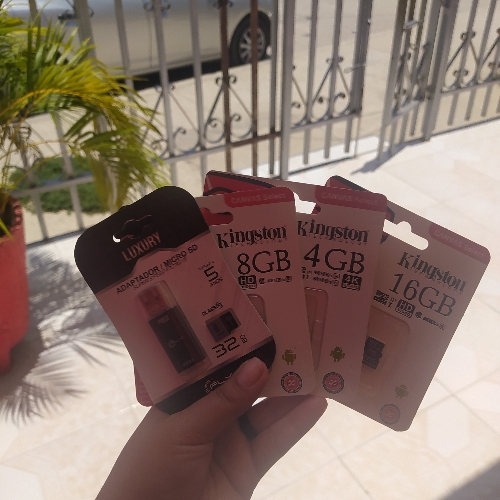 Memorias SD 8 GB