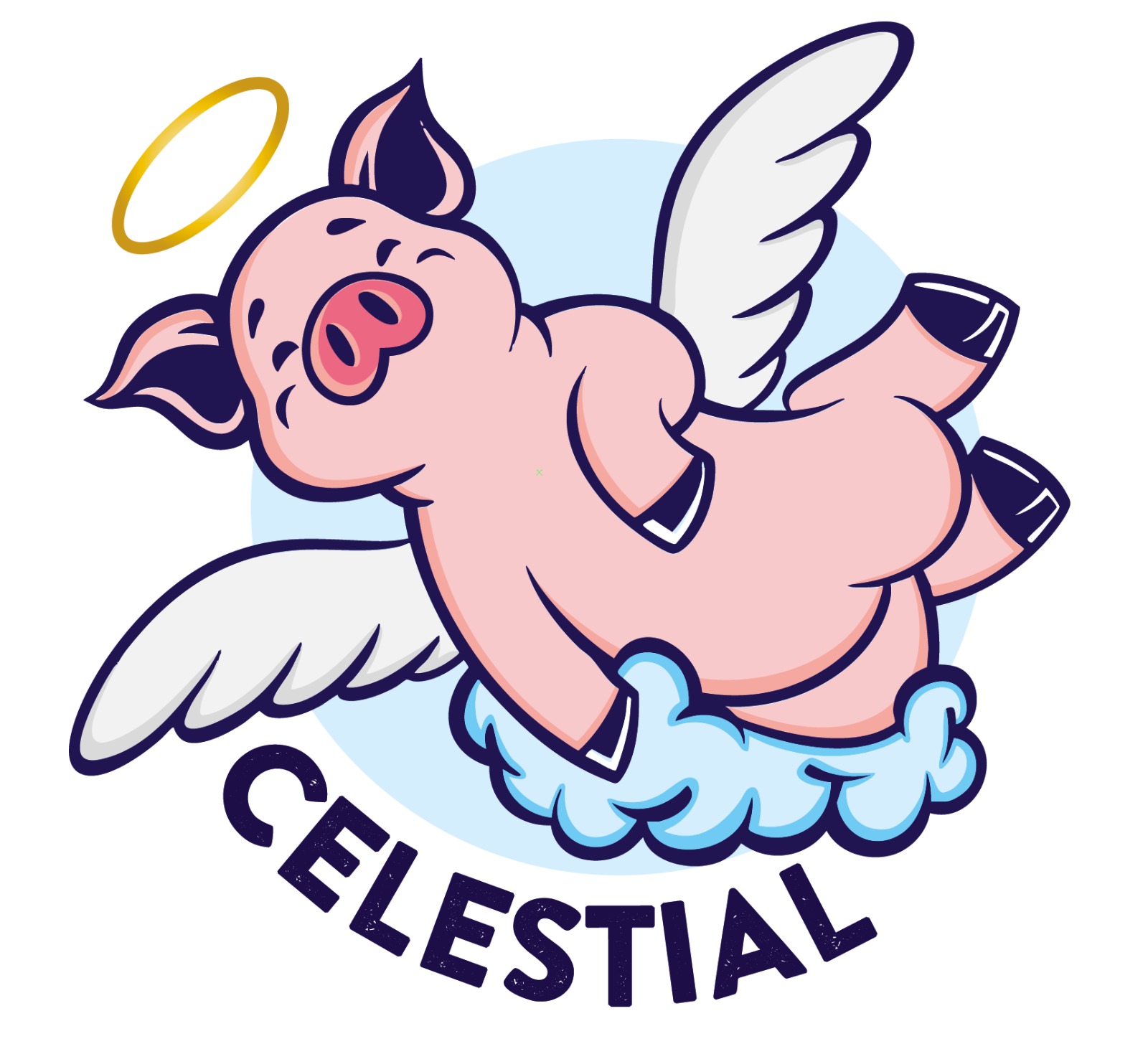 CARNICOS Y EMBUTIDOS CELESTIAL