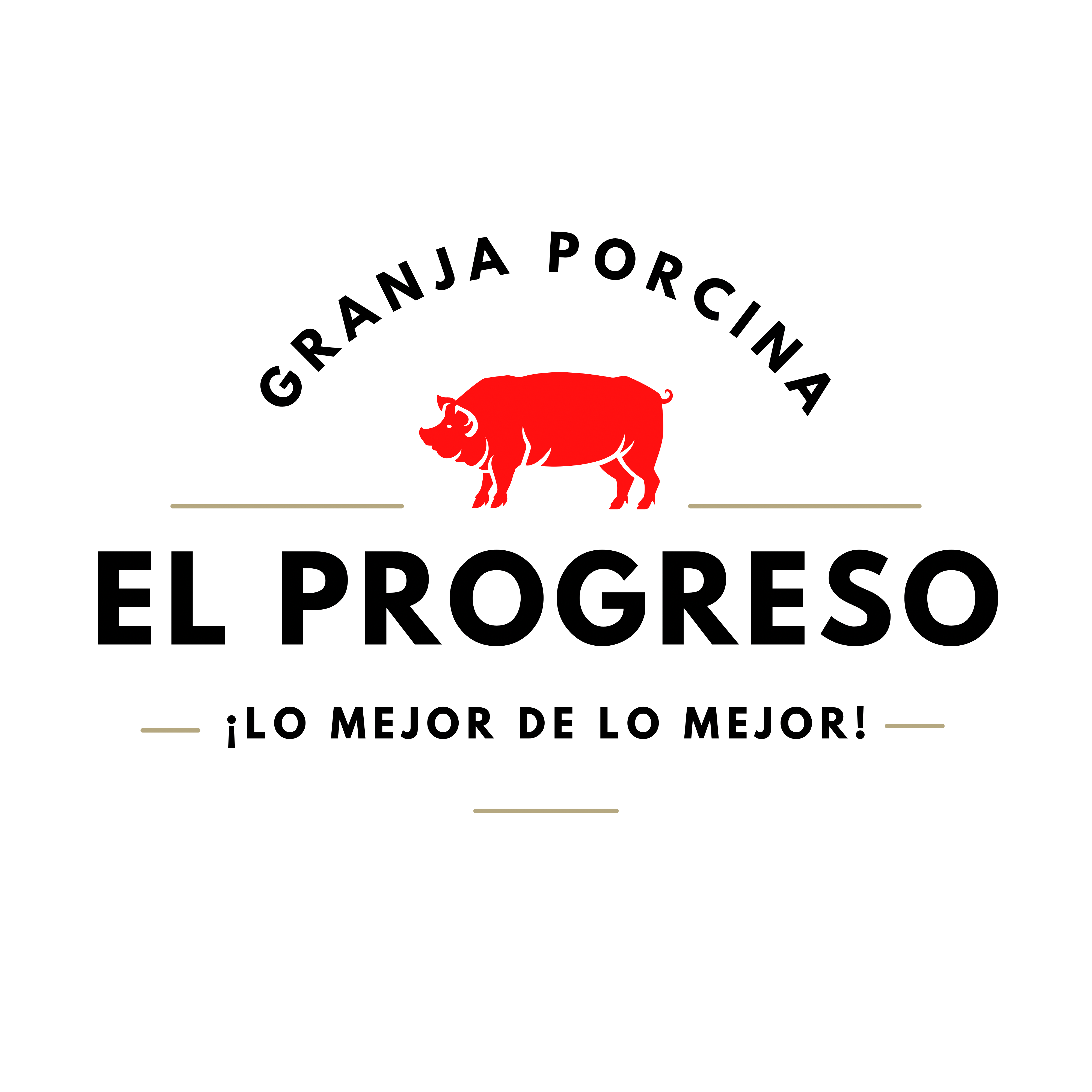 CARNES EL PROGRESO