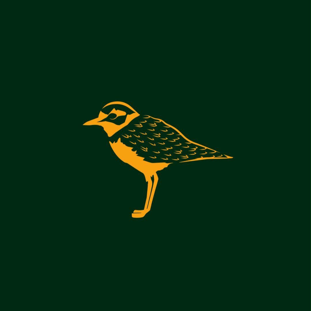 Pluvié