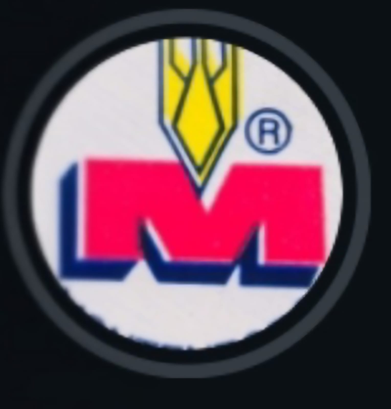 MONTENEGRO PANIFICADOS