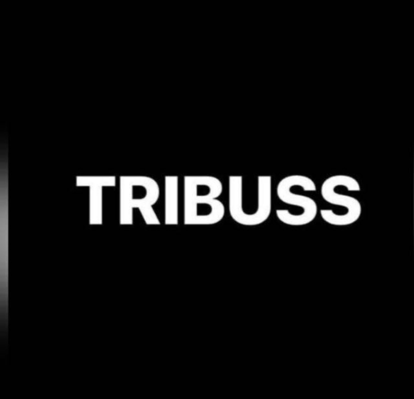 Tribuss