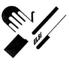 Elsi