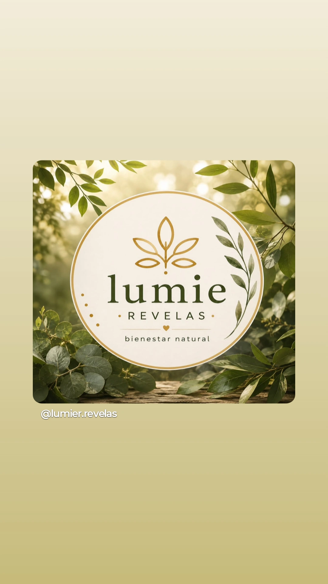 lumie.revelas