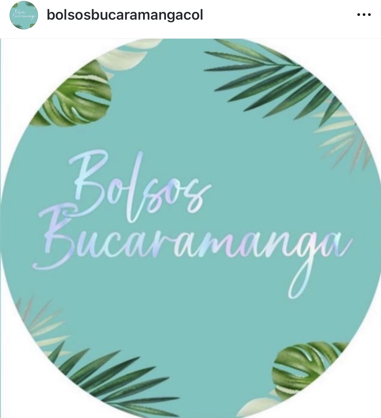 Bolsos Bucaramanga