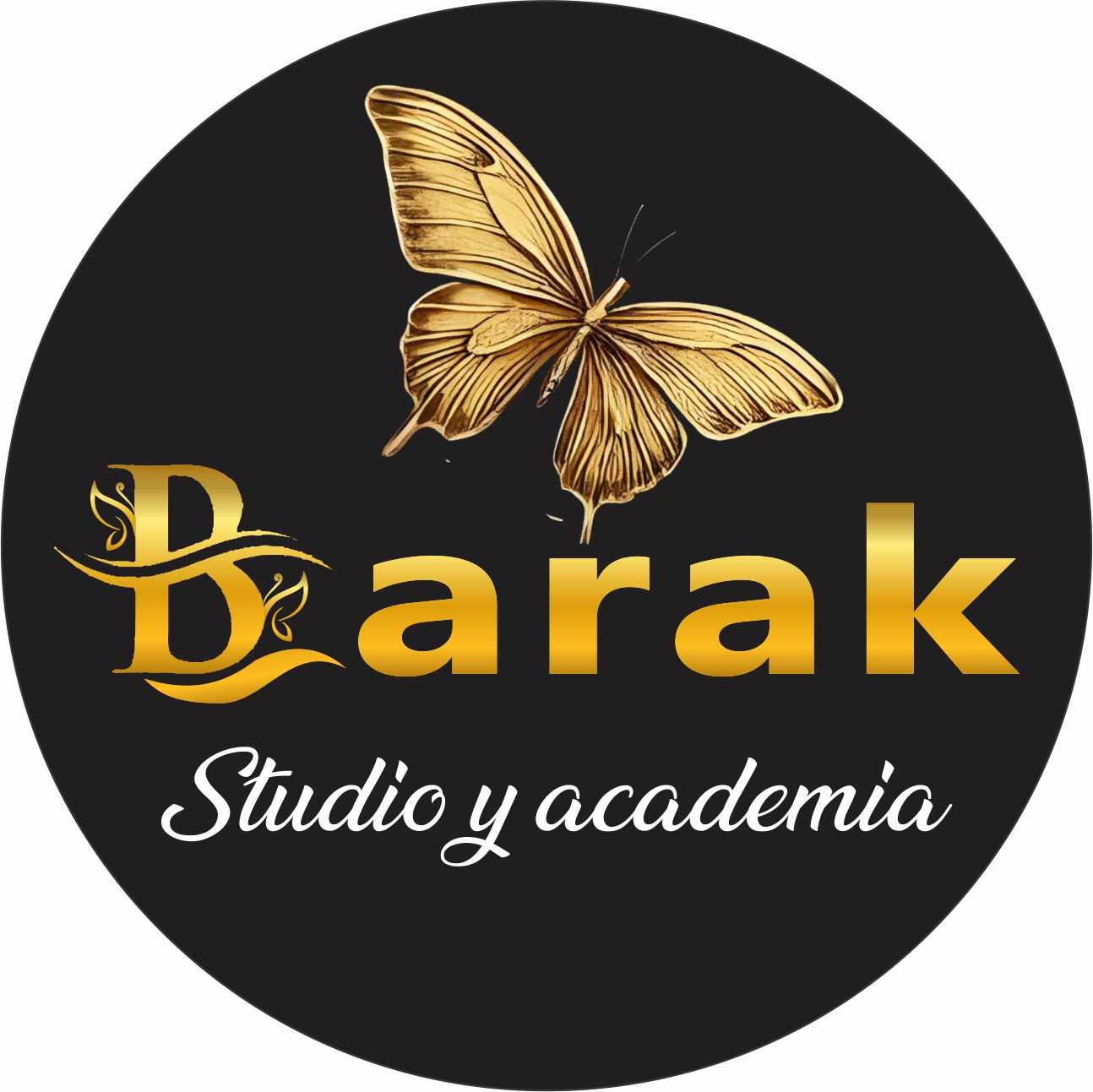 Barak studio y academia