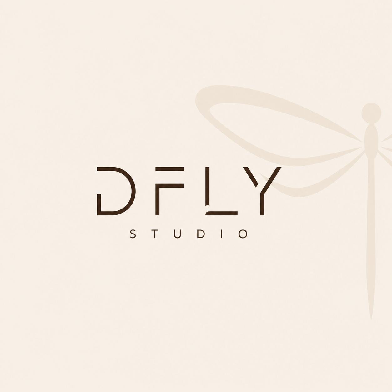 dflystudio.co