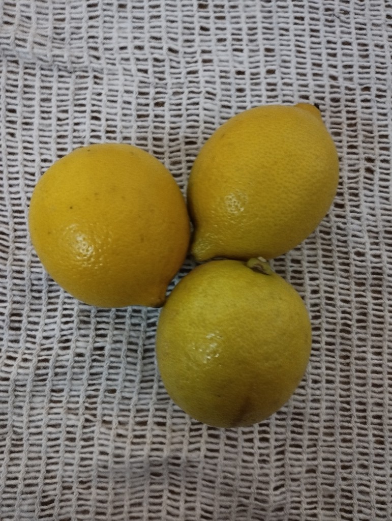 Limón