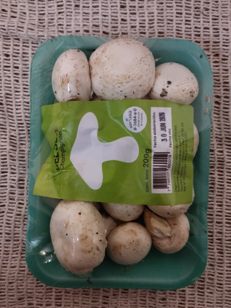 Champigñon