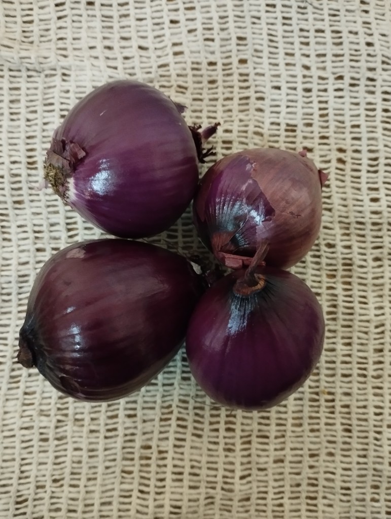 Cebolla morada