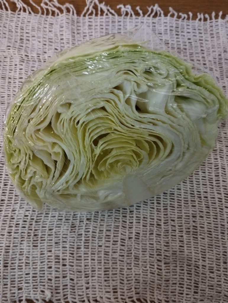 Repollo blanco