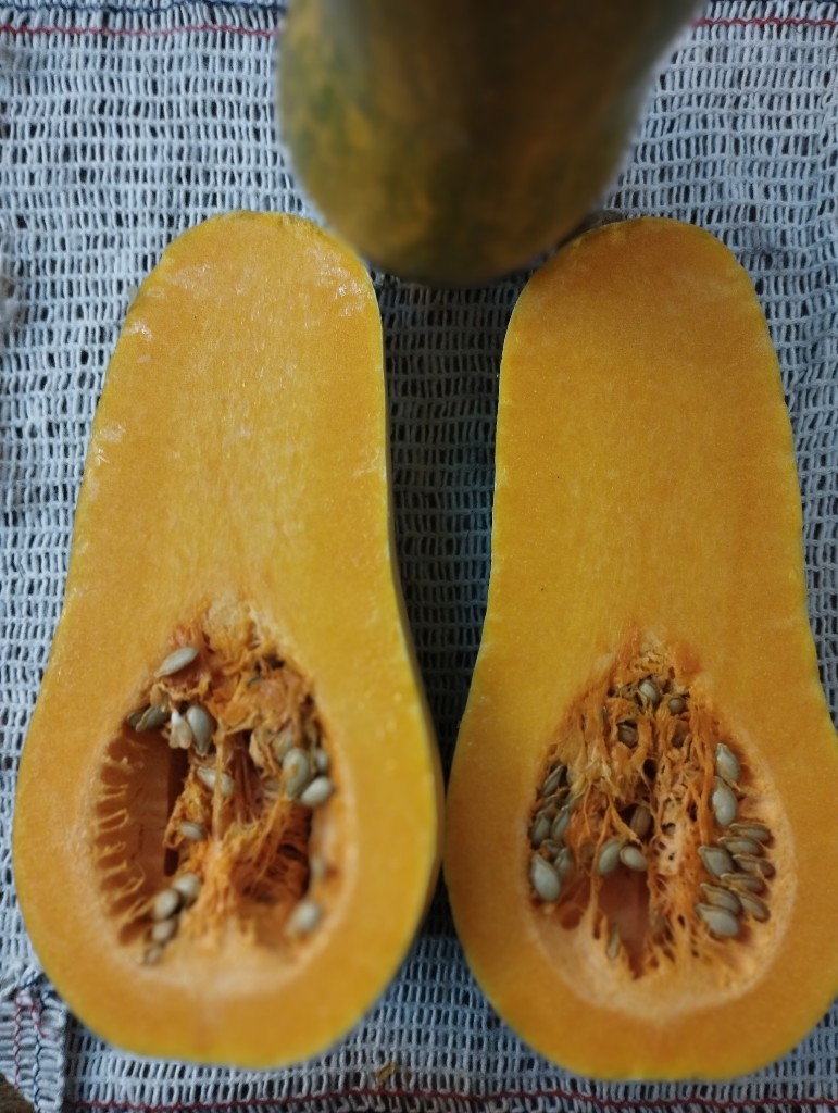 Calabaza