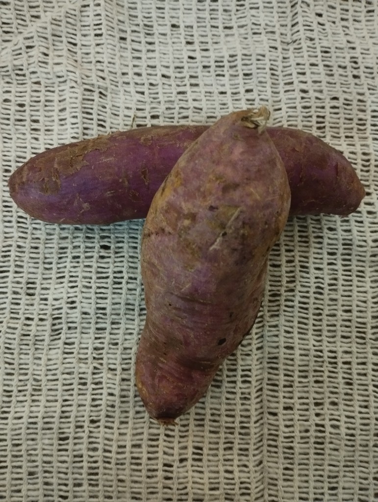 Batata