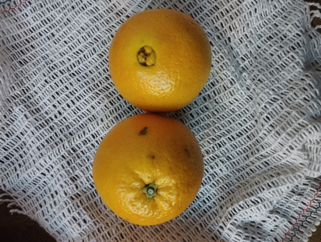 Naranja de Ombligo