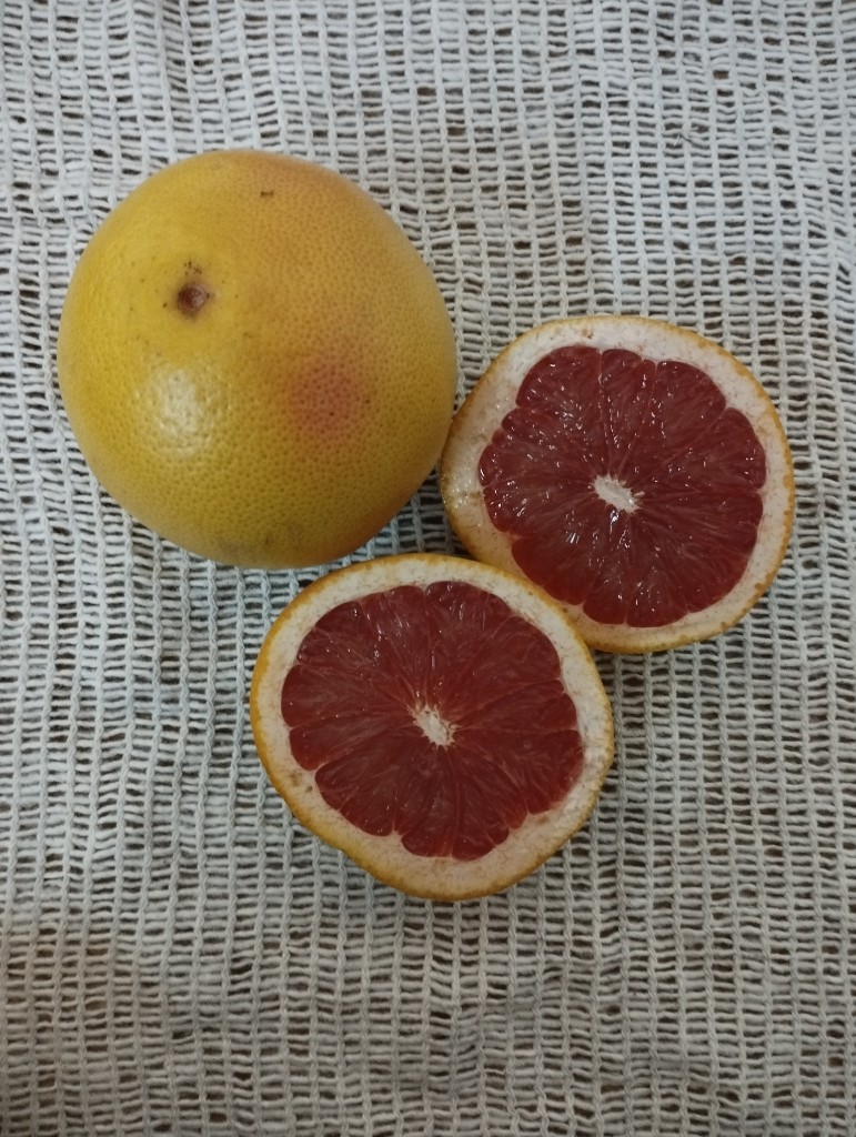 Pomelo Rosado
