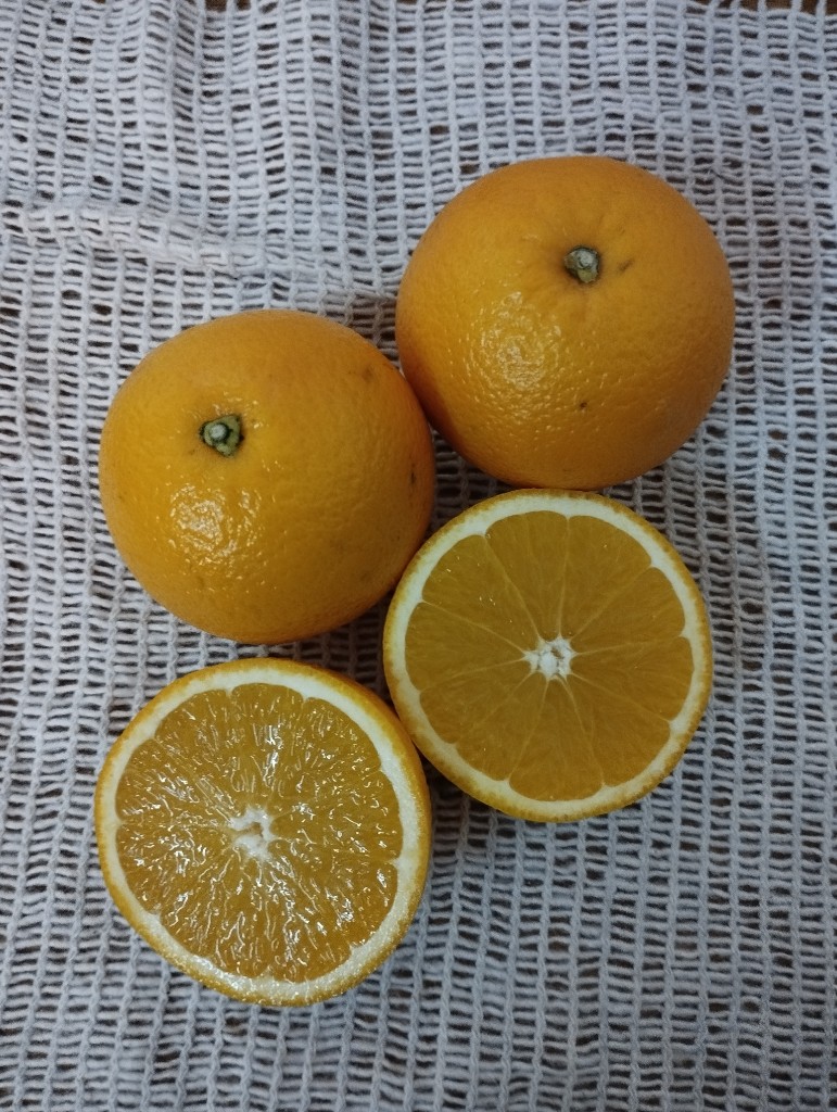 Naranja de Jugo