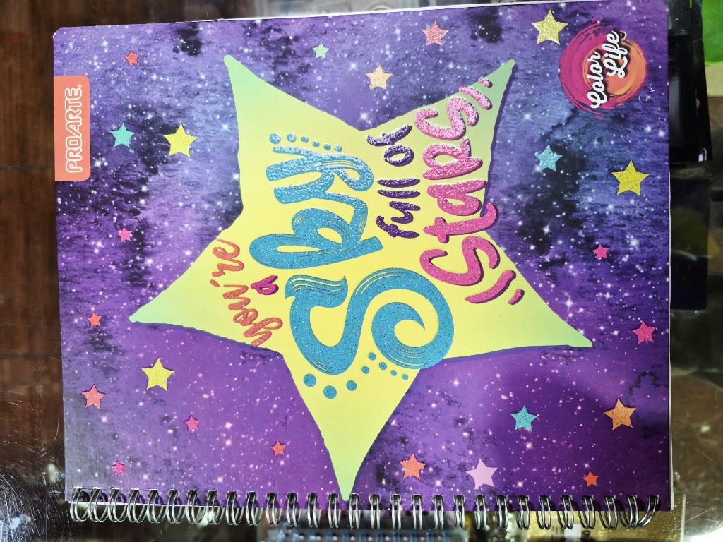 Cuaderno Proarte Tapa Dura 100hjs.