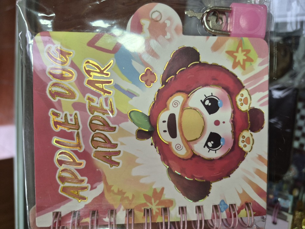Libreta niña pequeña con candado