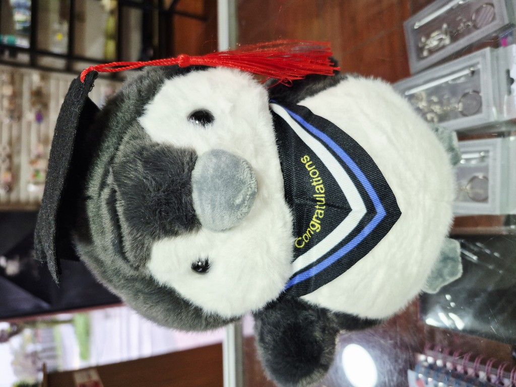 Peluche Graduación