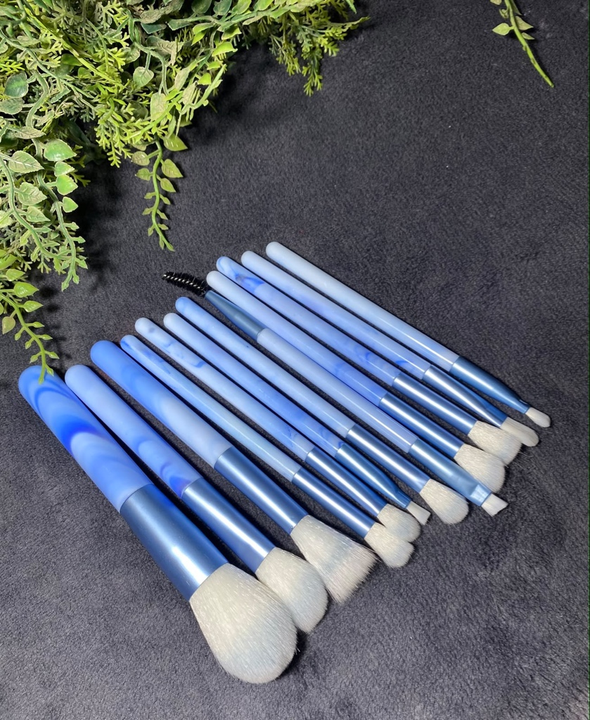 Set x10 brochas profesionales azul