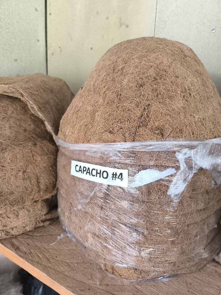 capacho #4