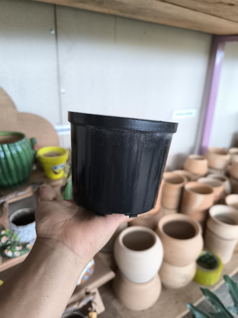 matera comun p12 negra