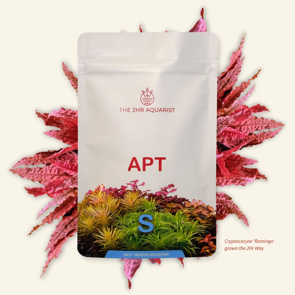 2Hr - Apt Sky 150G