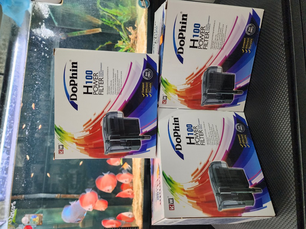 Filtro Dolphin H100