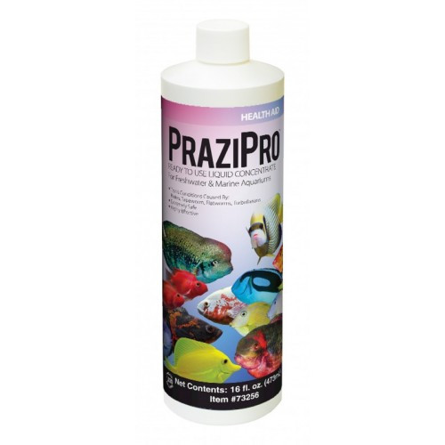 Prazi Pro - Hikari 4Oz