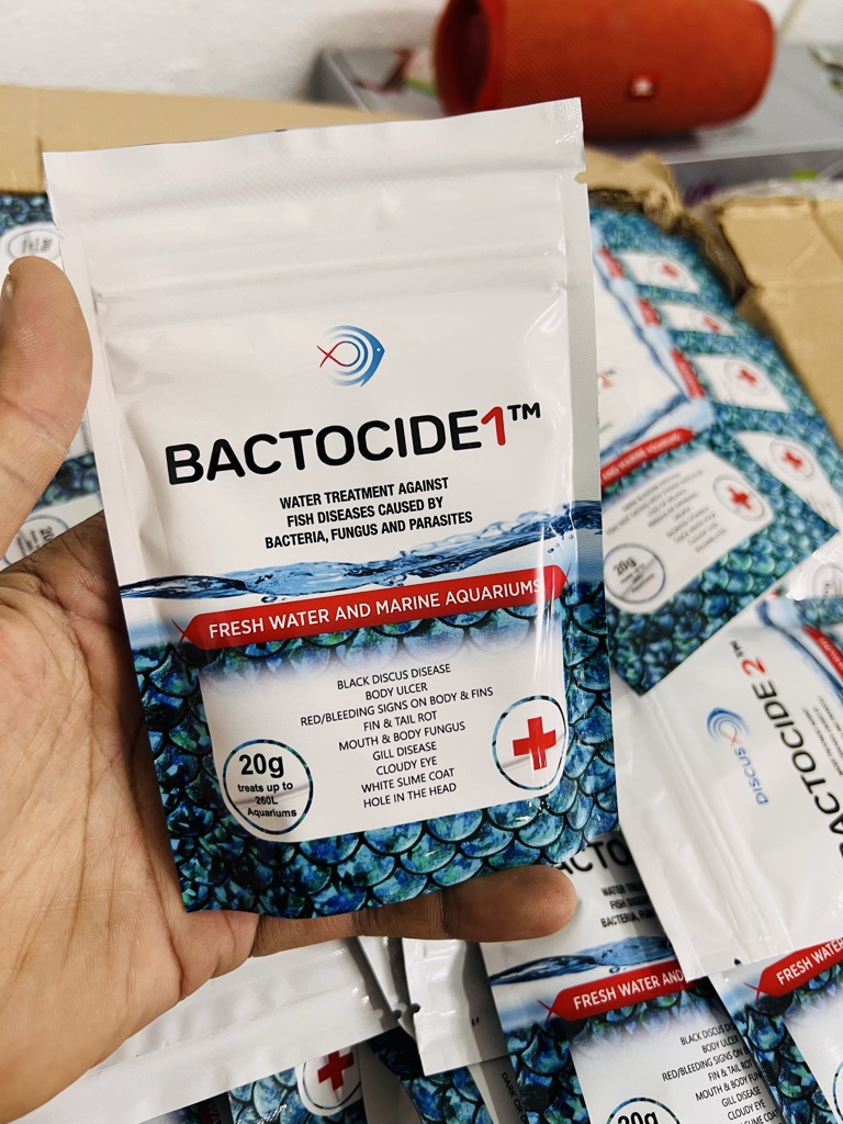 Bactocide 1 (20G)