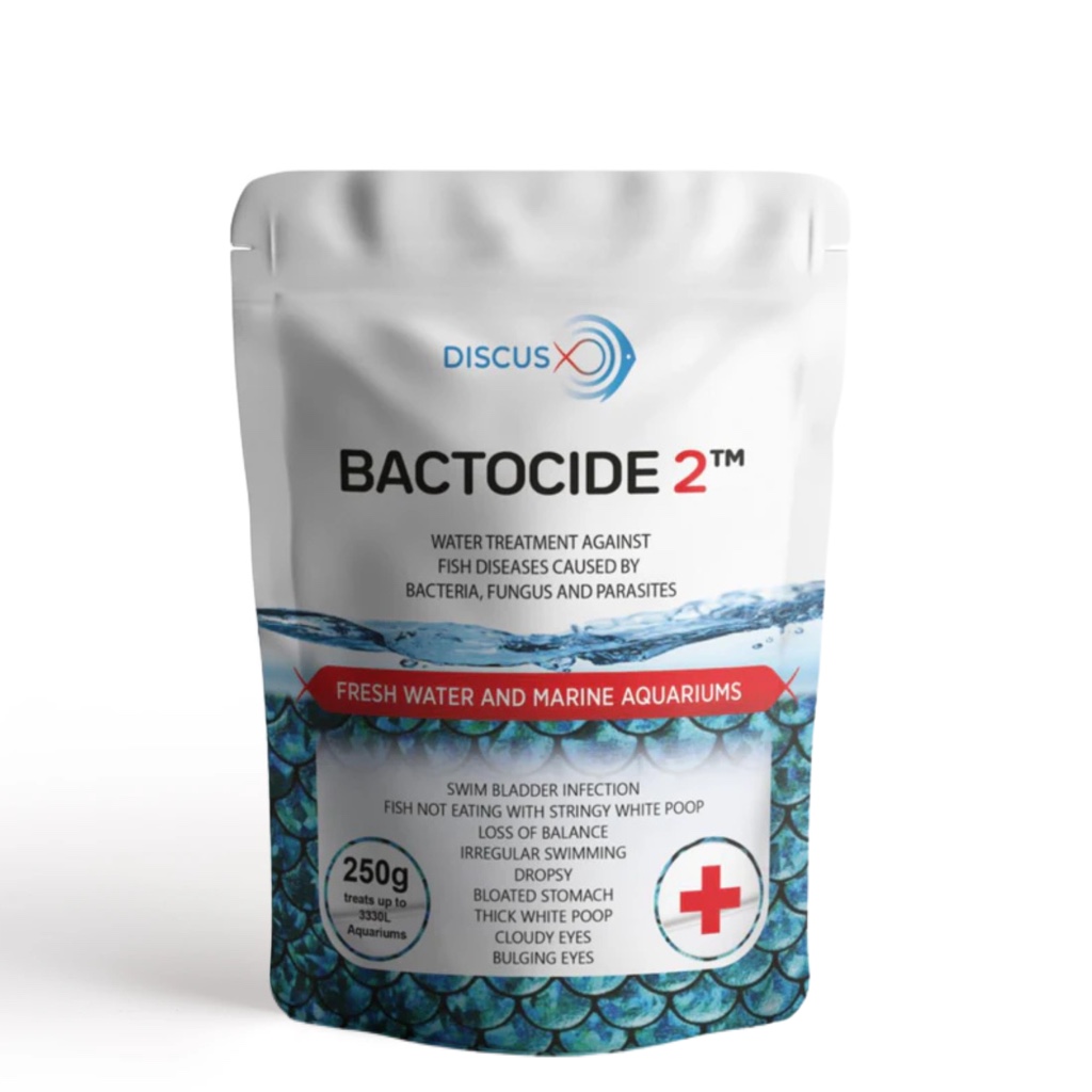 Bactocide 2 (20G)