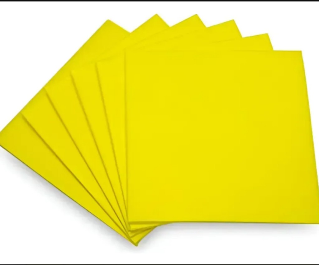 Paño Amarillo Multiuso X2 unidades