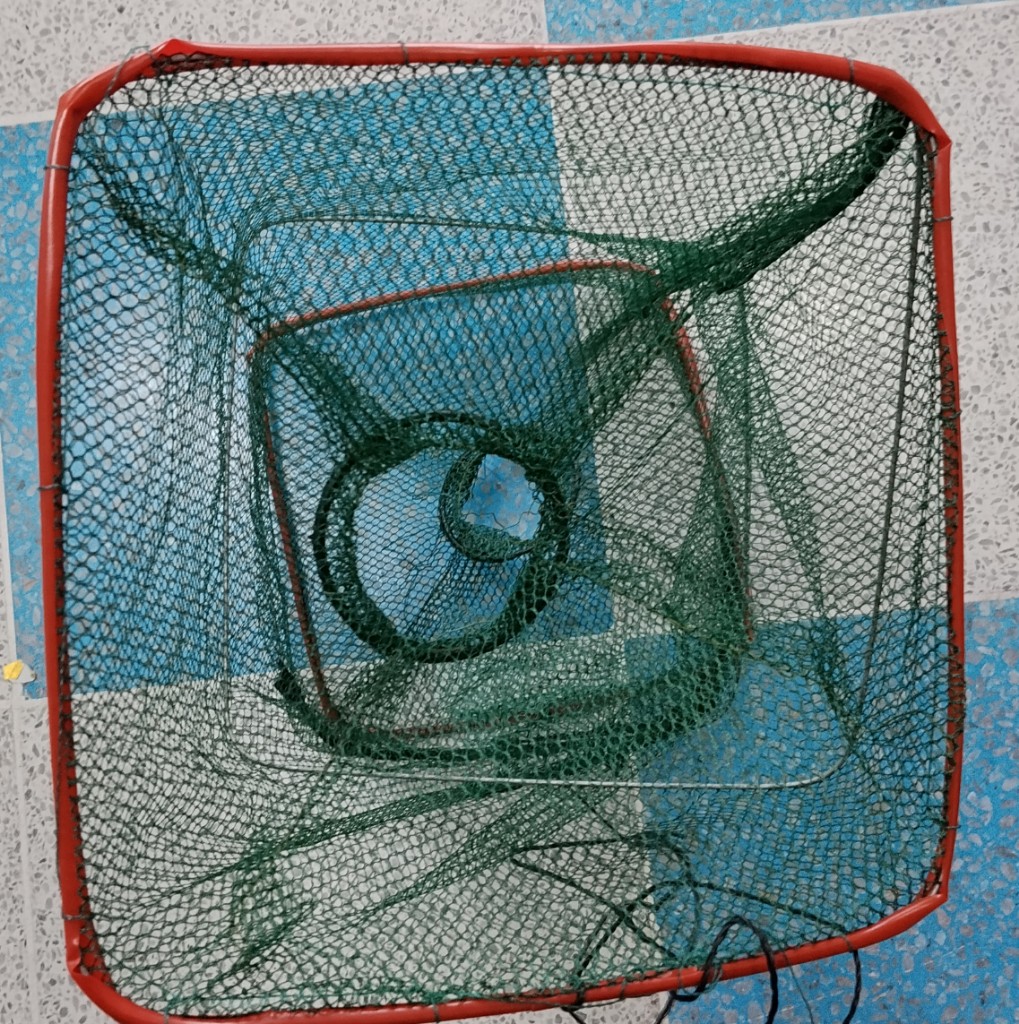 RED DE PESCA RECTANGULAR -2 HOYOS -
