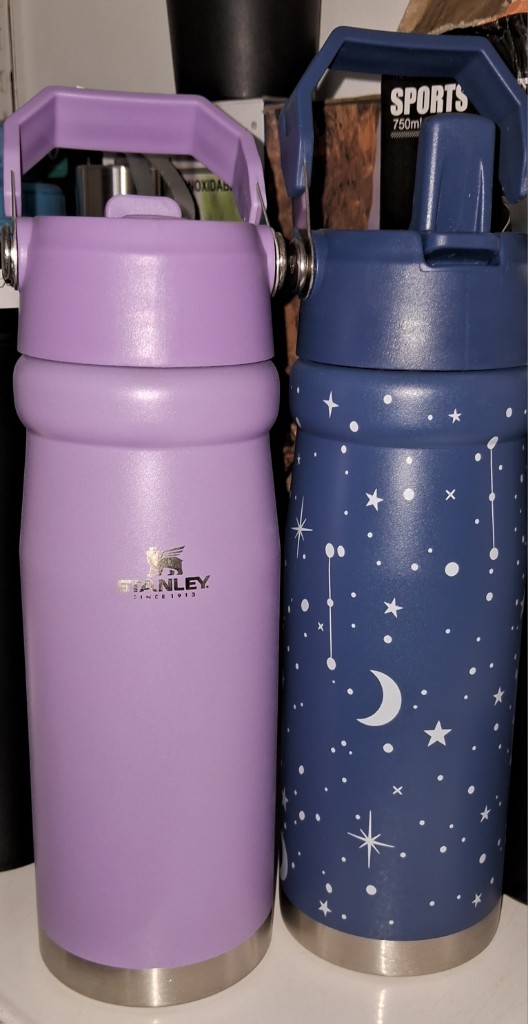 Botella stanley
