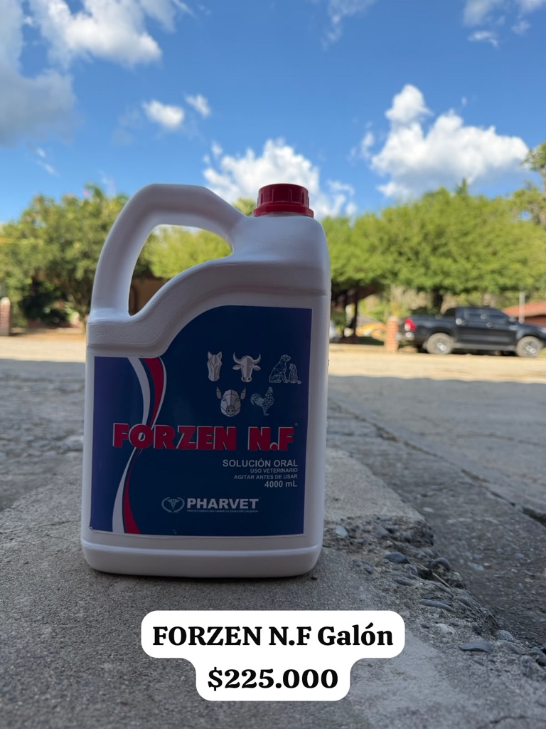 Forzen N.F galón