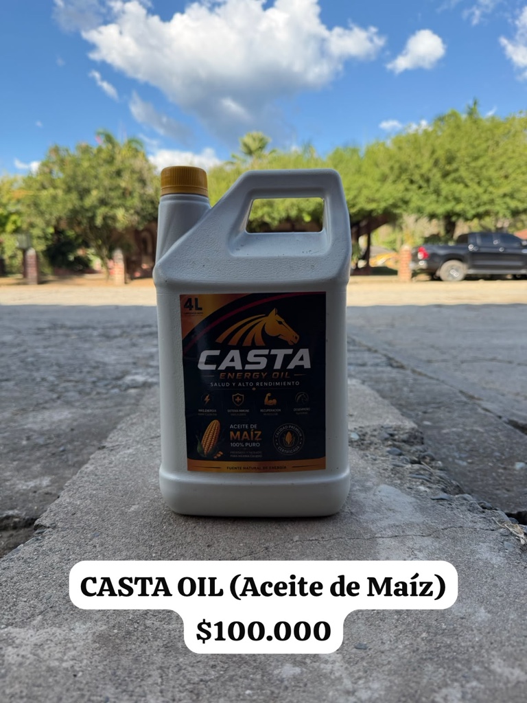 CASTA Oil 4L