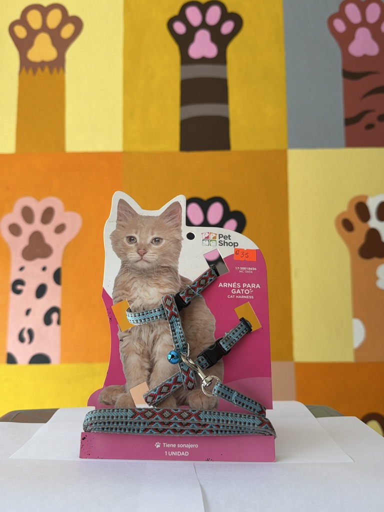 Arnés para gatos