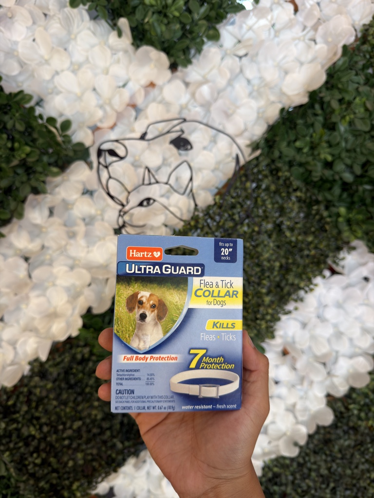 Collar anti pulgas para perros