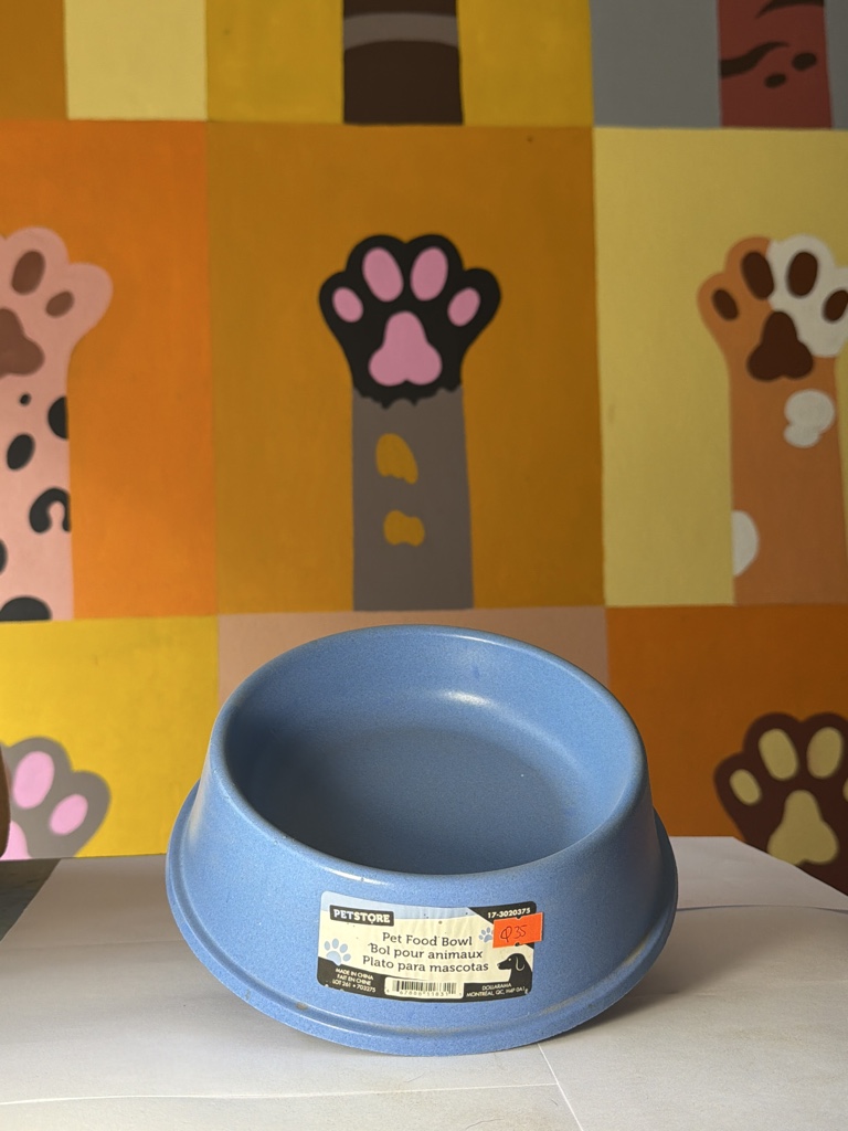Plato para mascotas grande