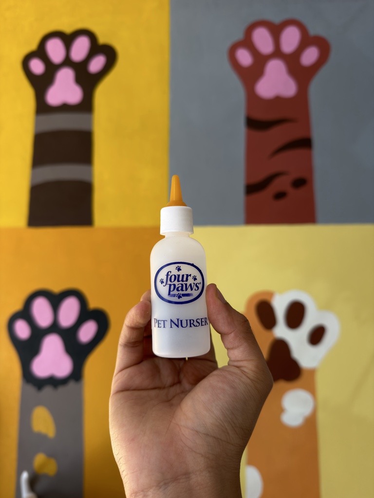 Pacha fourpaws