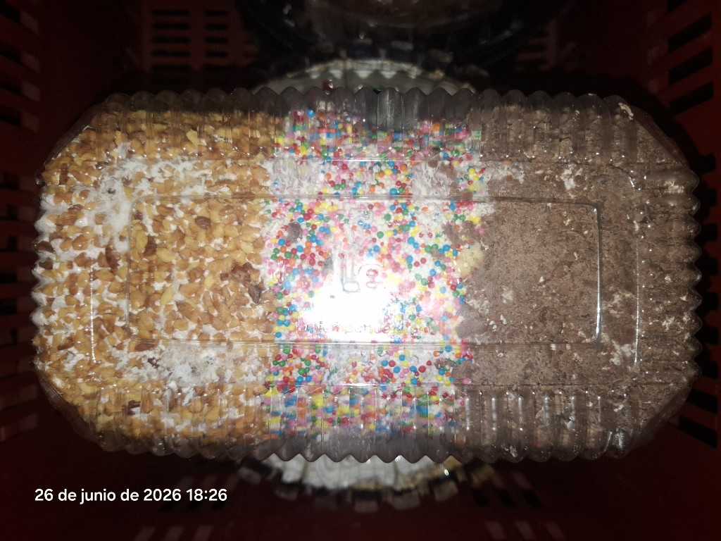 Brazo decorado